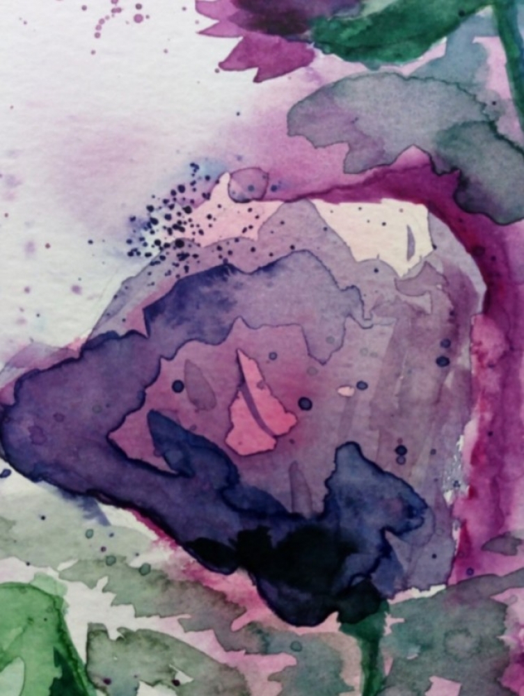 Poppies