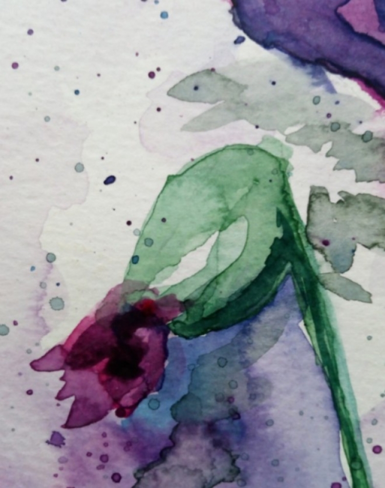 Poppies