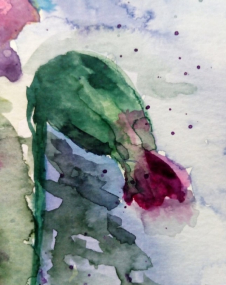 Poppies