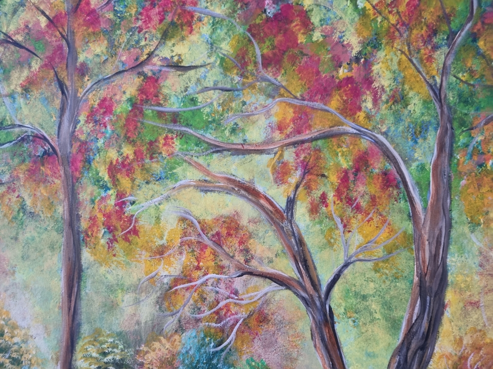 Woodland Tranquility 