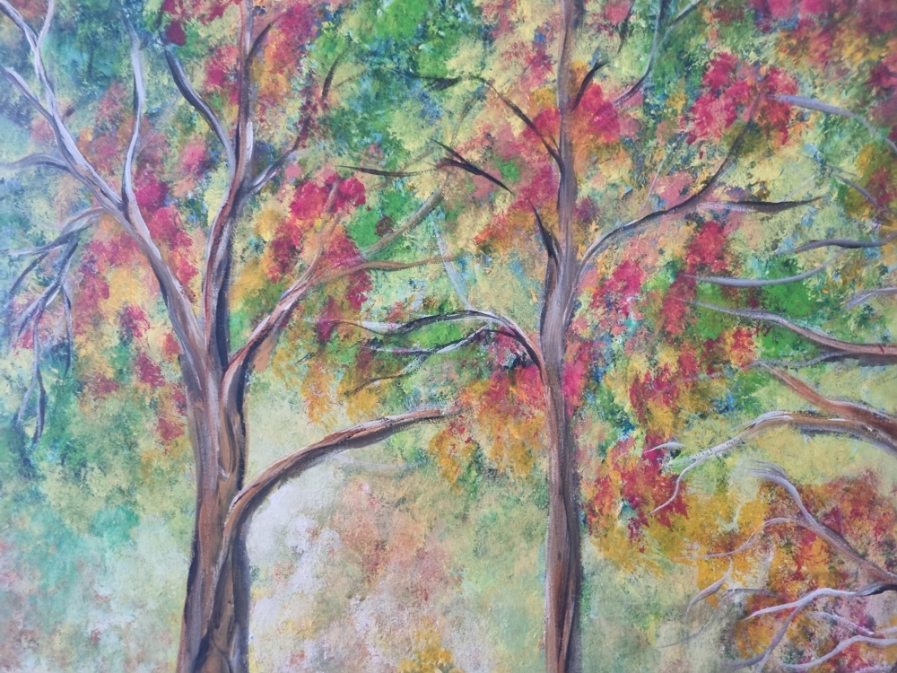 Woodland Tranquility 