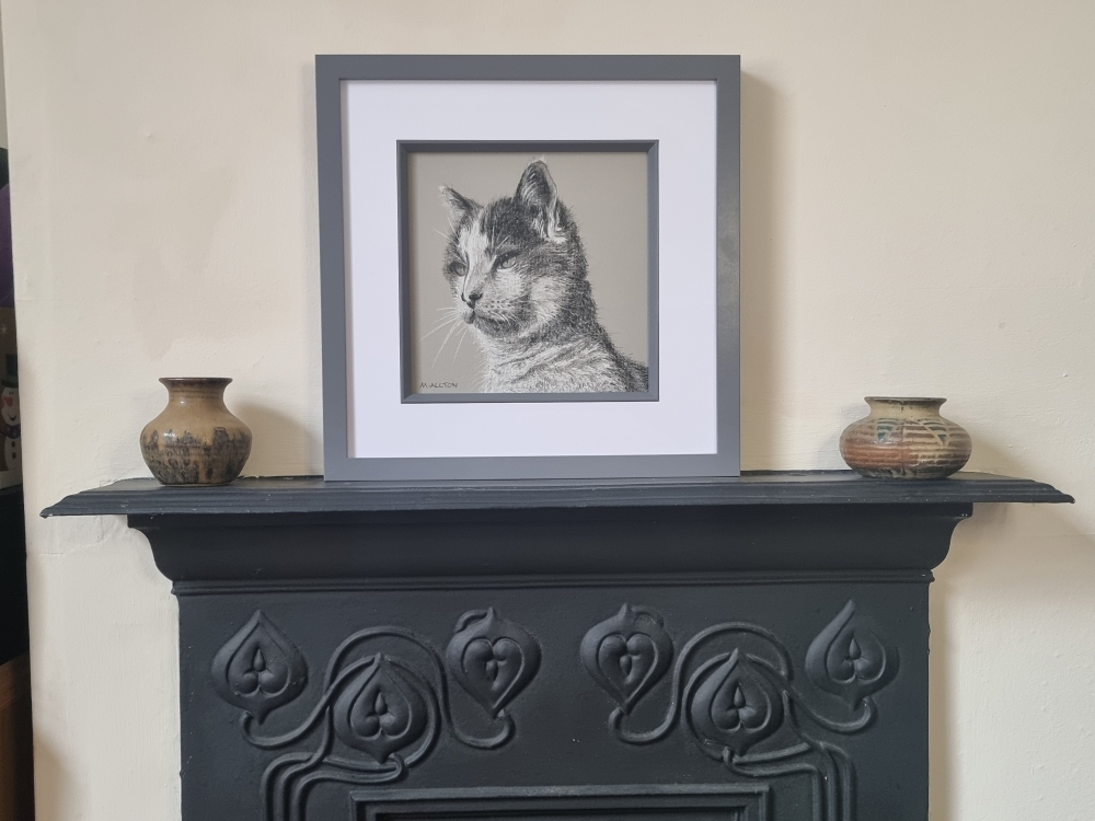 Pebbles - Framed cat portrait drawing