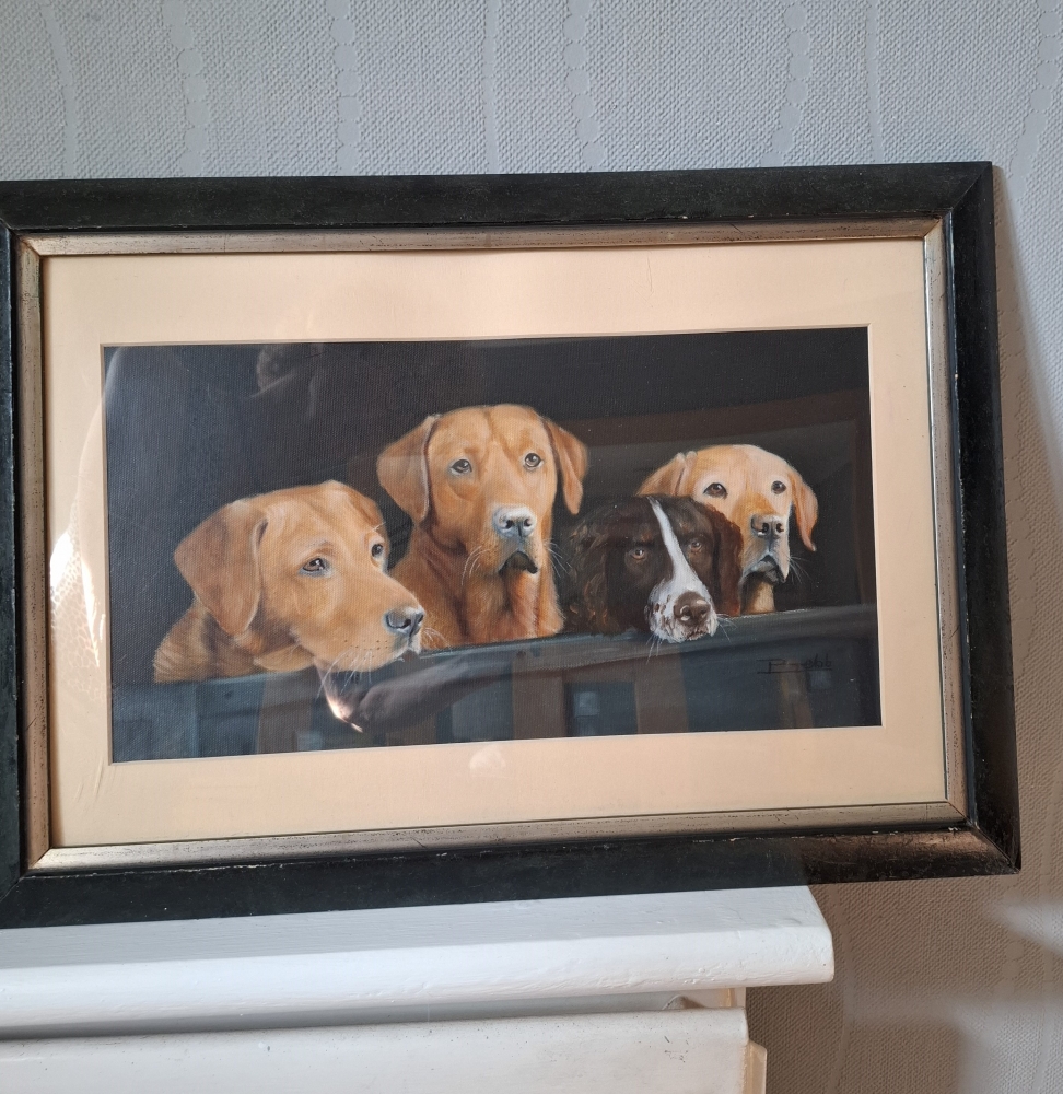 Team working dogs
