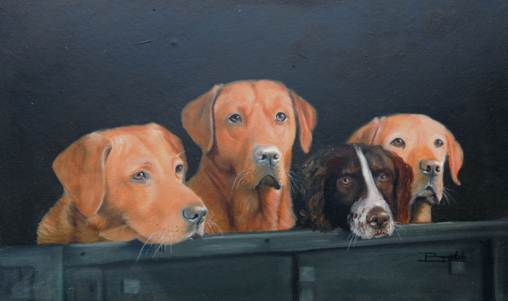 Team working dogs