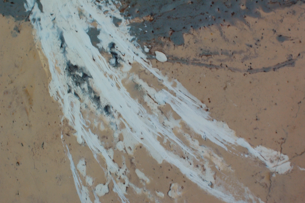 \"Angel feather\". Encaustic.