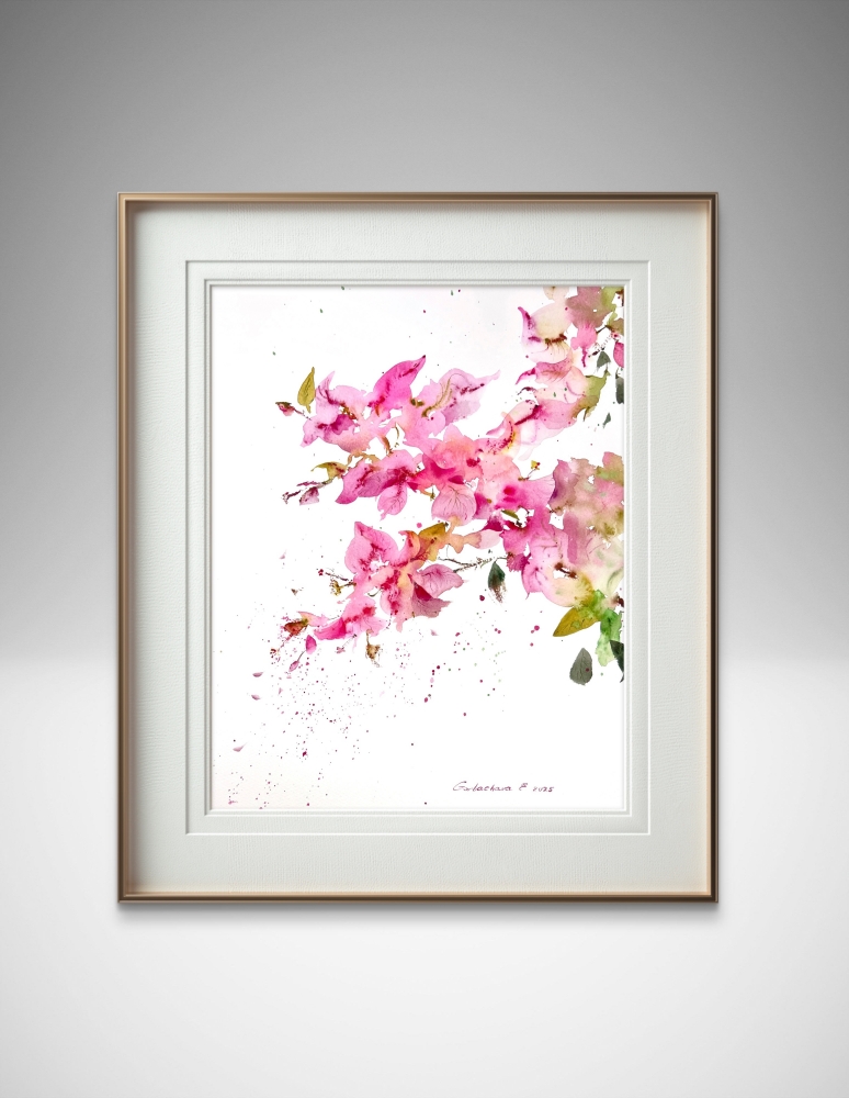Bougainvillea Dream #2