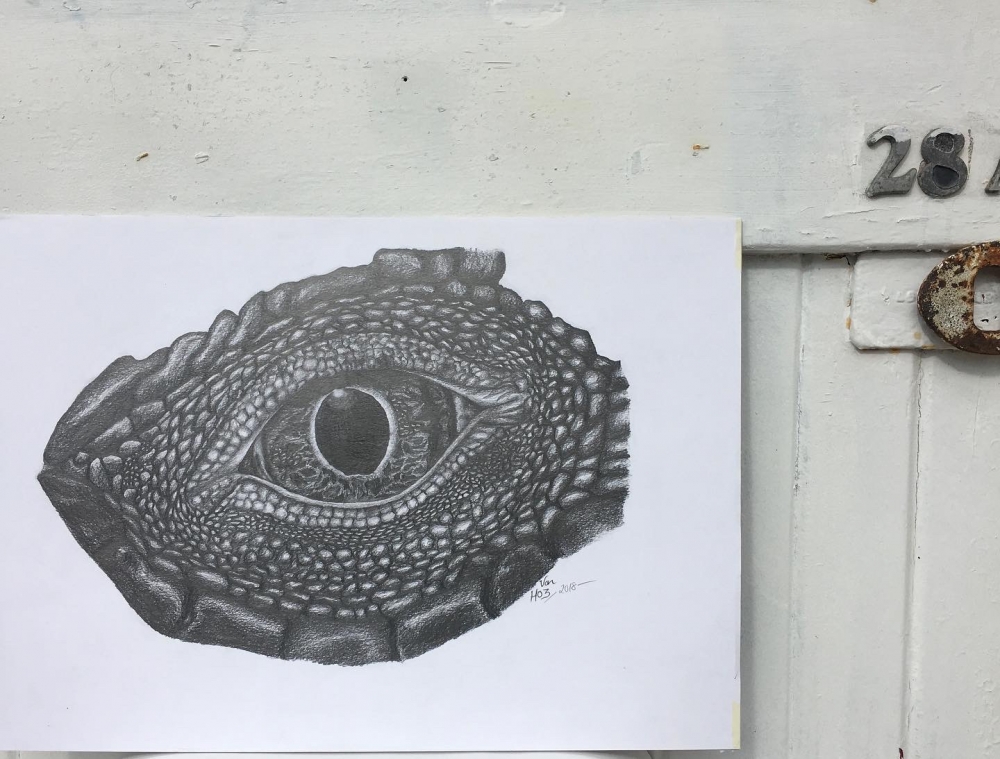 Komodo Dragon Eye