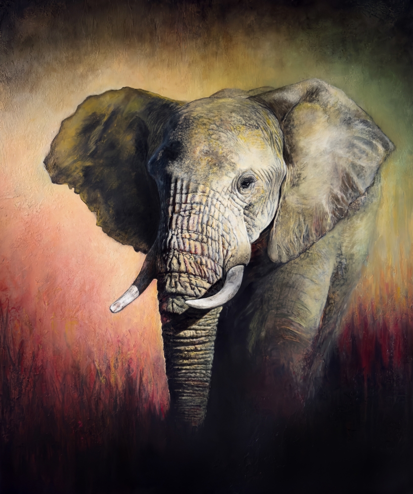 A Colourful Elephant