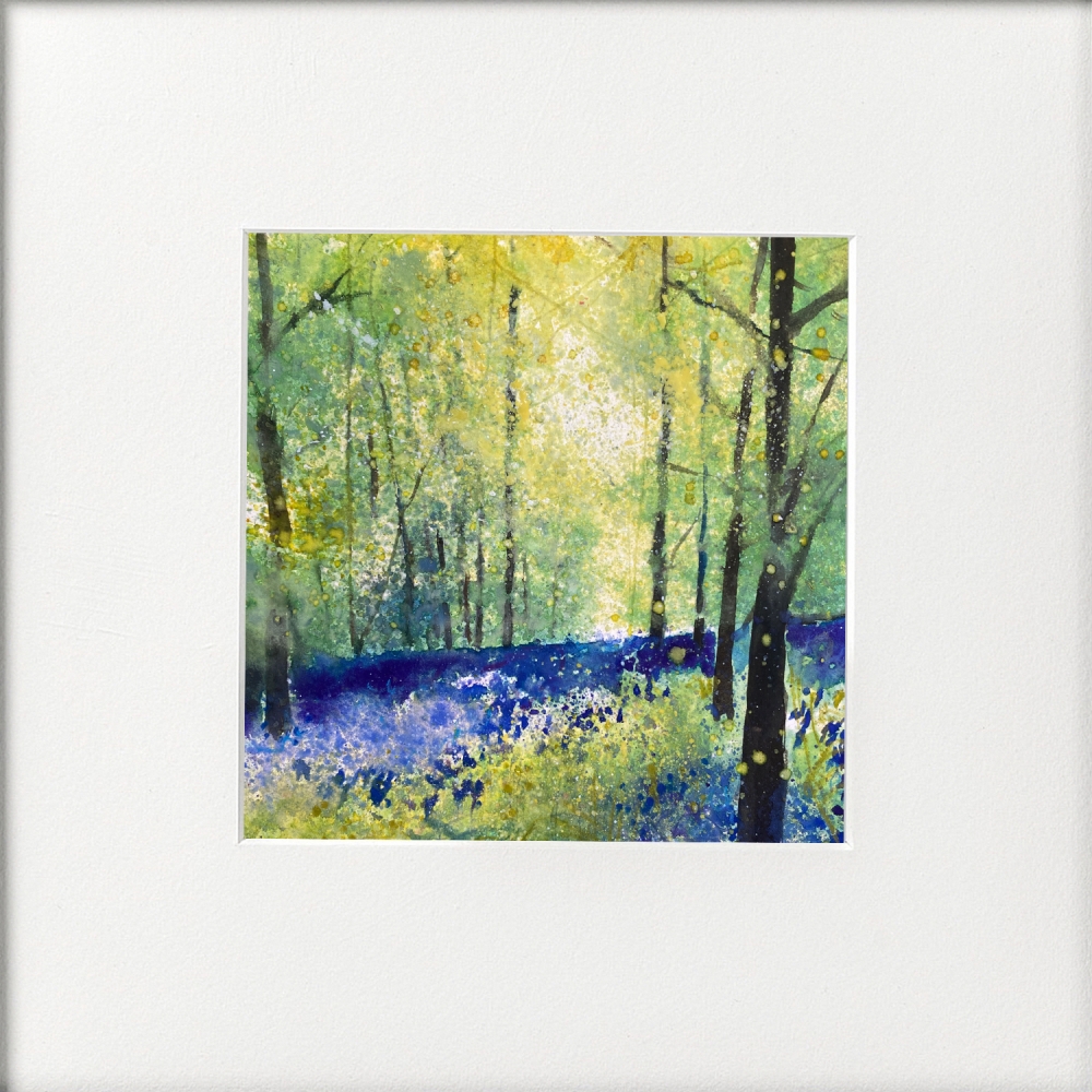 4 Bluebell woodland views