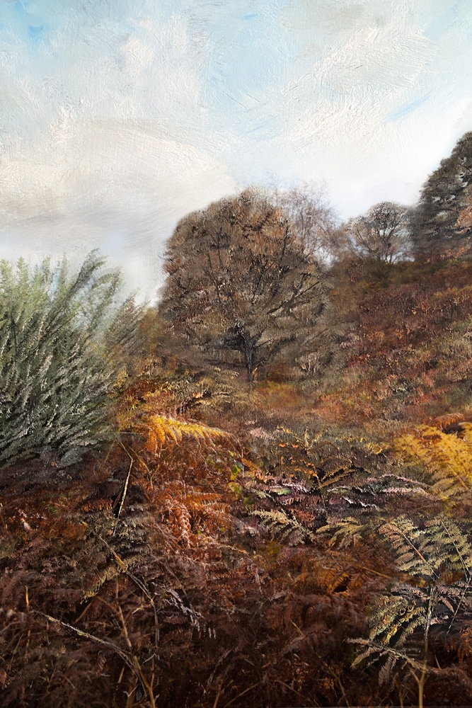 Autumn Colours