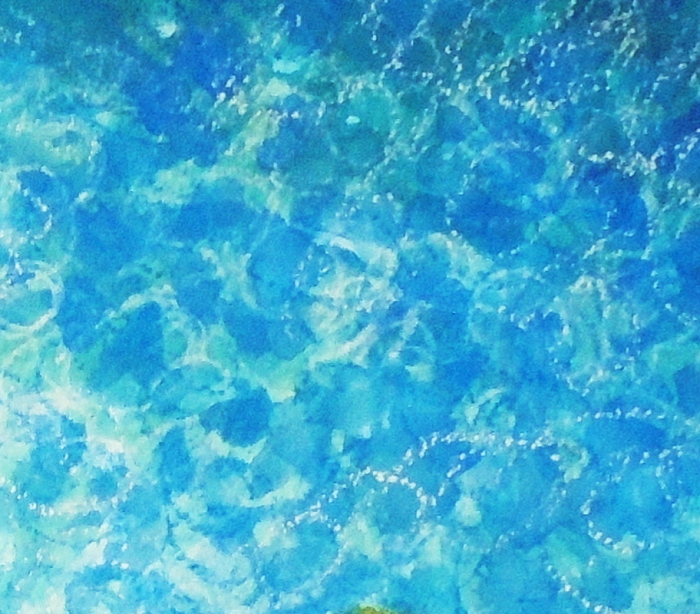Wild wqter swimming-4