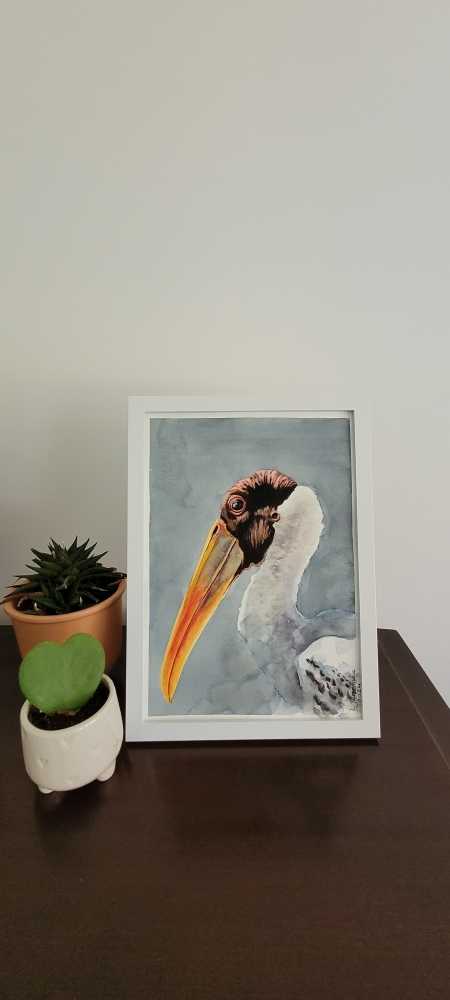 Bald Stork