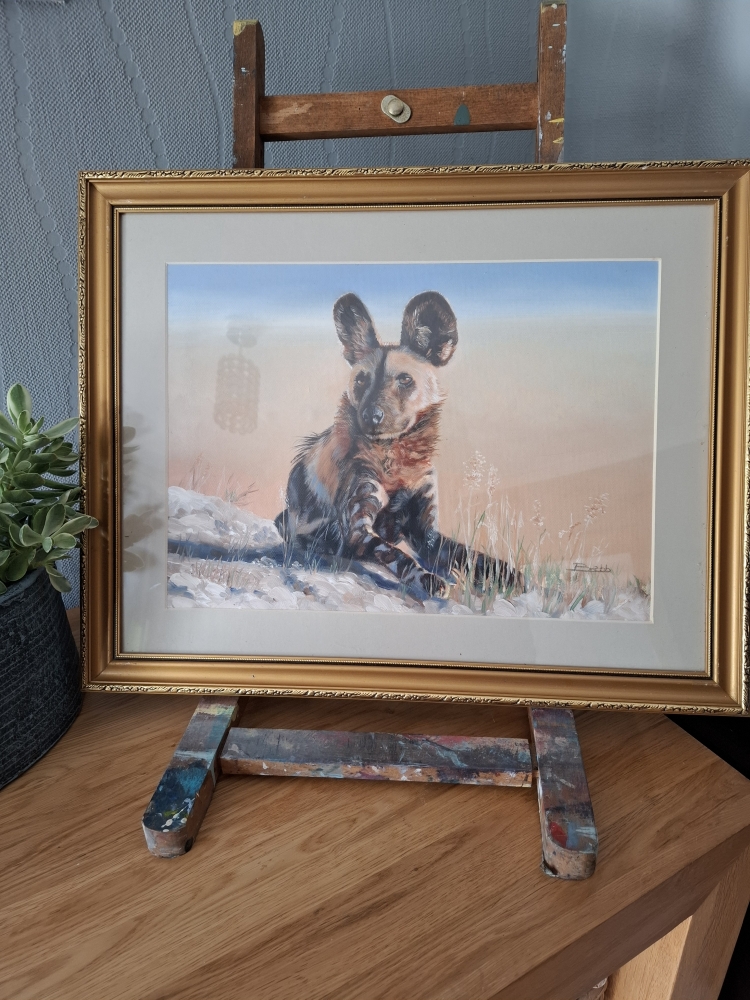 Painted Jackal