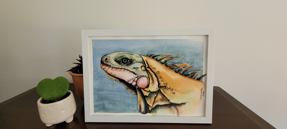 Colourful Iguana