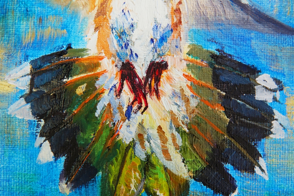 Dancing Hummingbird