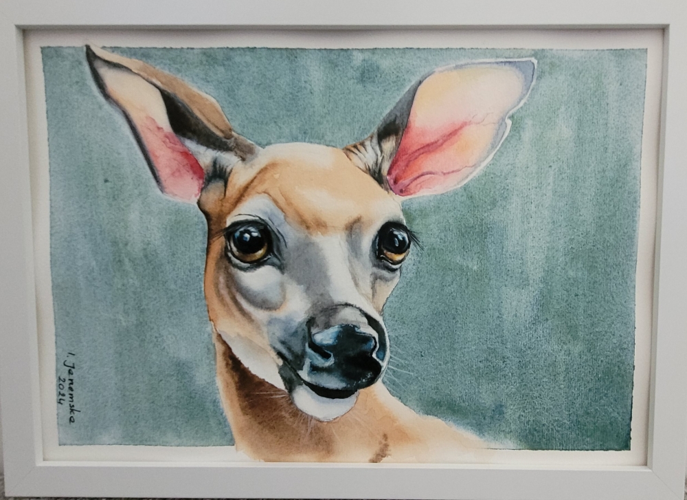 Beautiful Doe