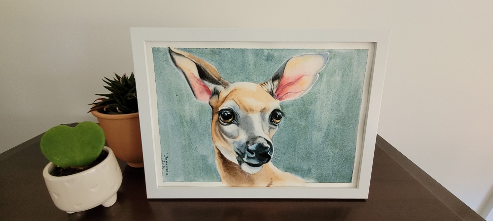 Beautiful Doe