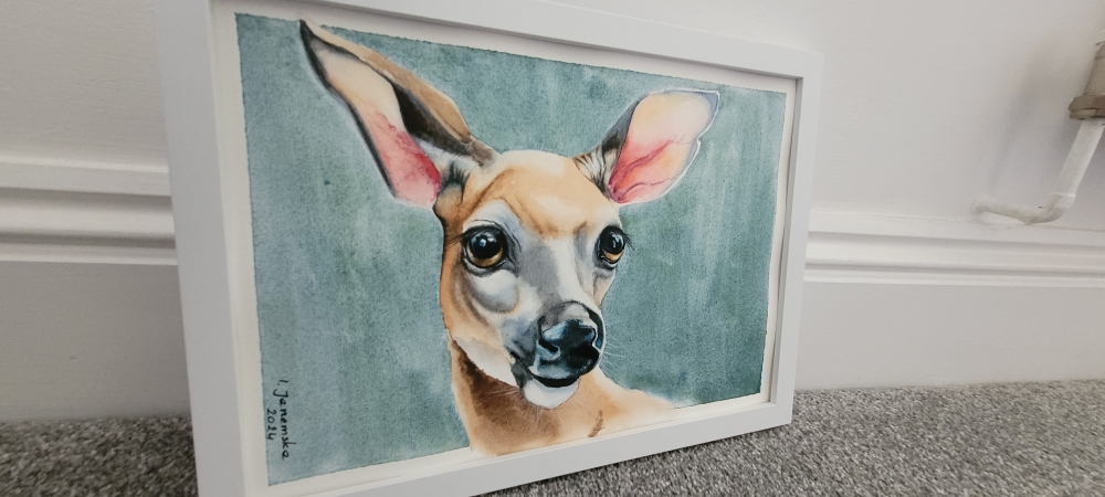 Beautiful Doe