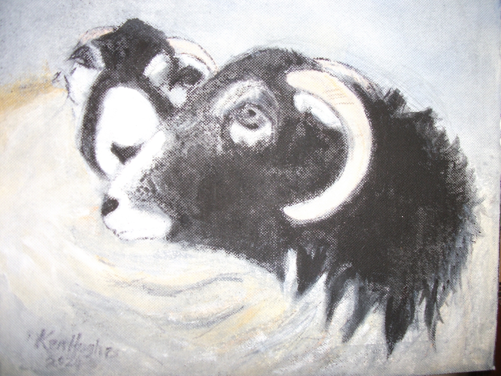 Sheepish