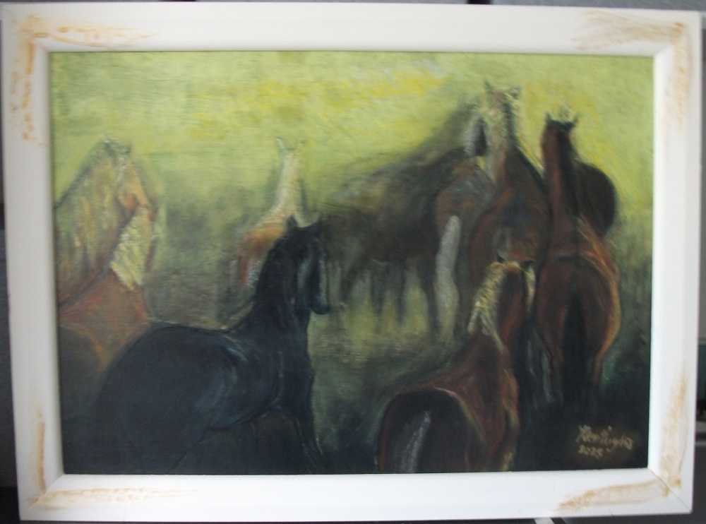 Dusty wild horses
