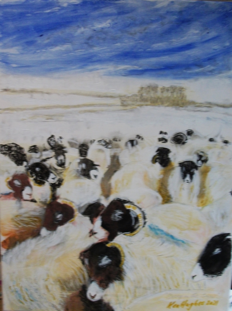 Sheep in the Snow