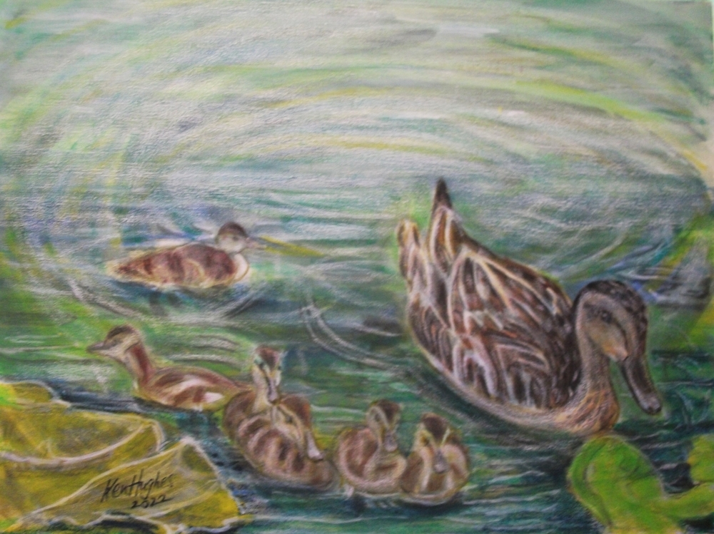 Hello Ducks