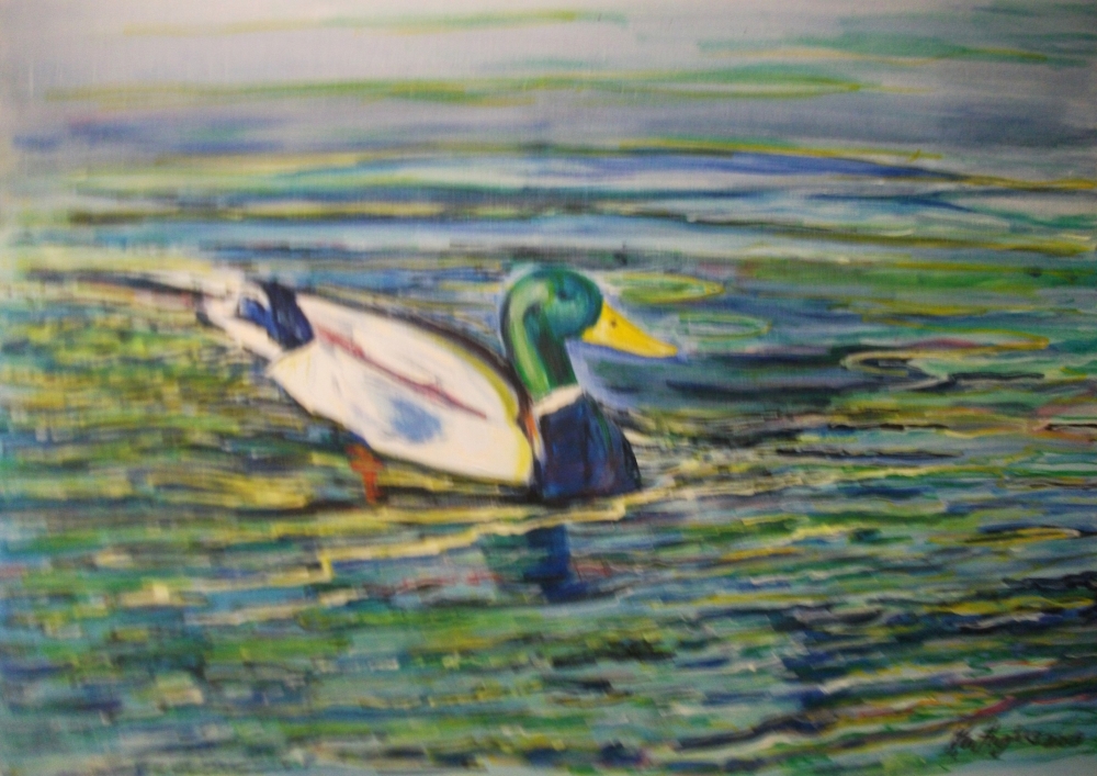 Duck Pond reflections