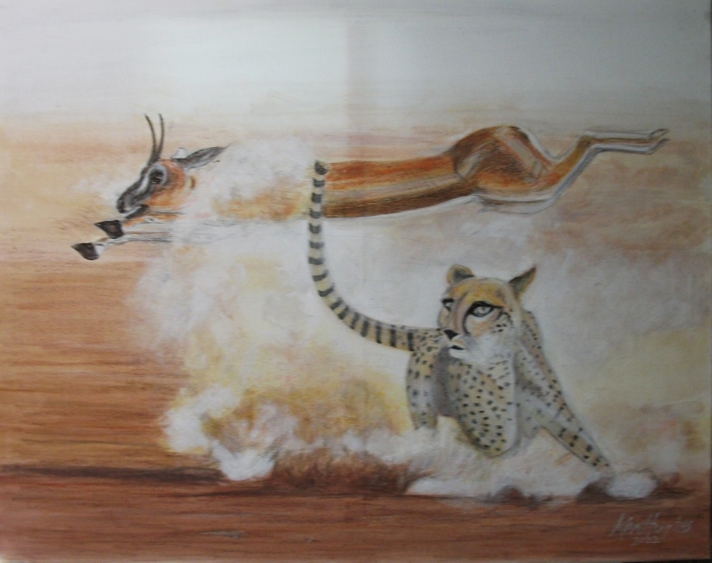 Cheating the Cheetah