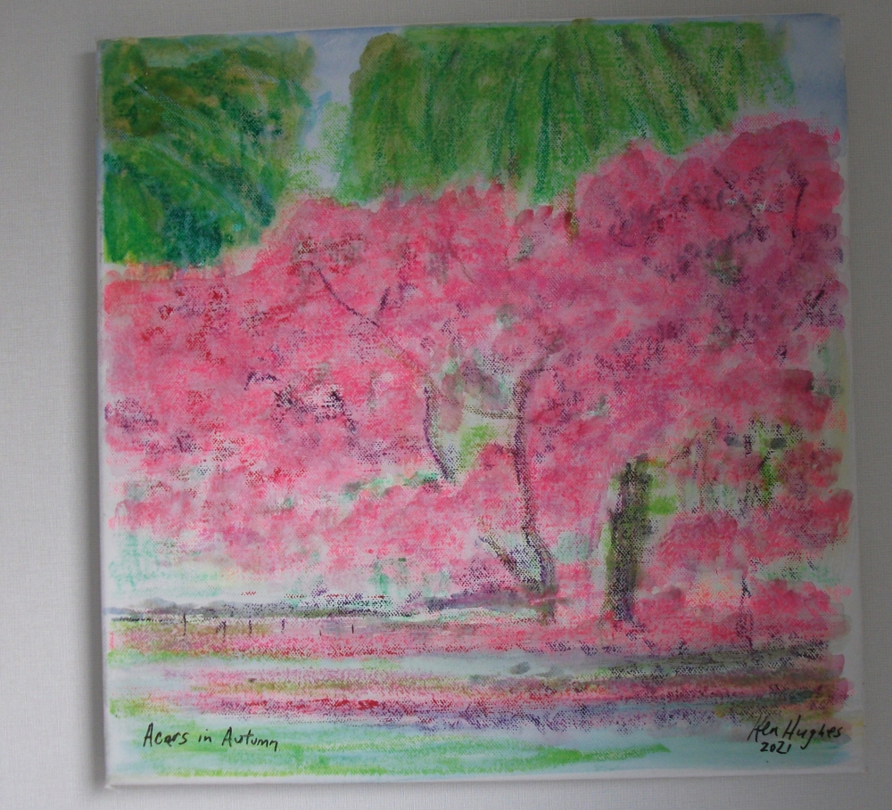 Autumn Acer