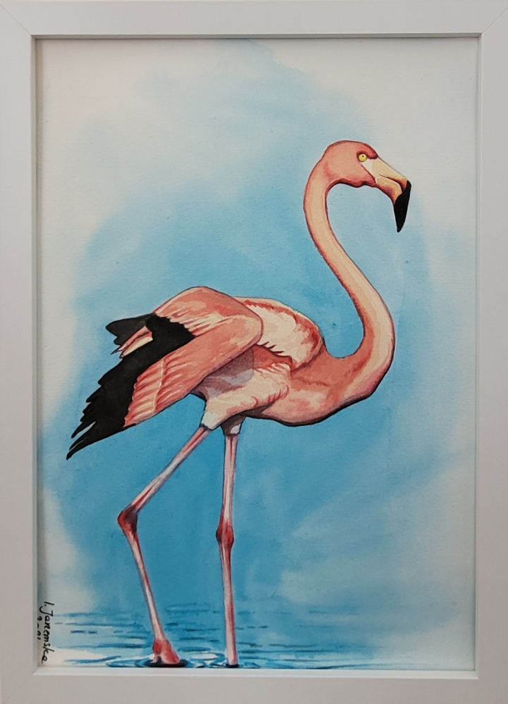 Pink Flamingo
