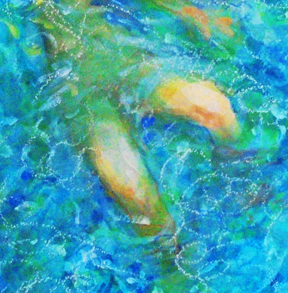 Wild swimming- 5