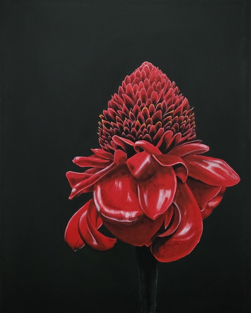 red torch ginger
