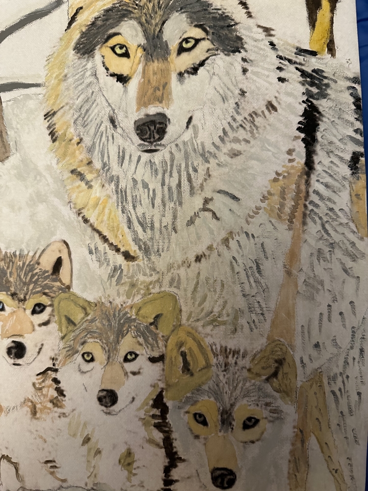 Portrait of wolf family 