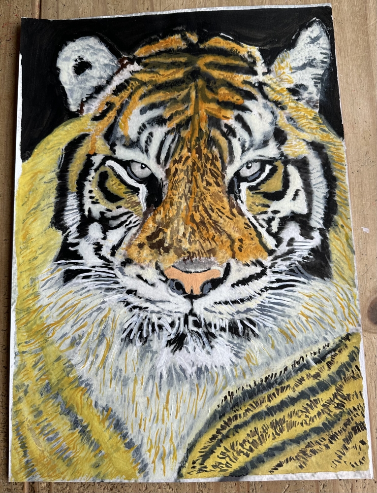 Portrait of Frosty the Tiger 
