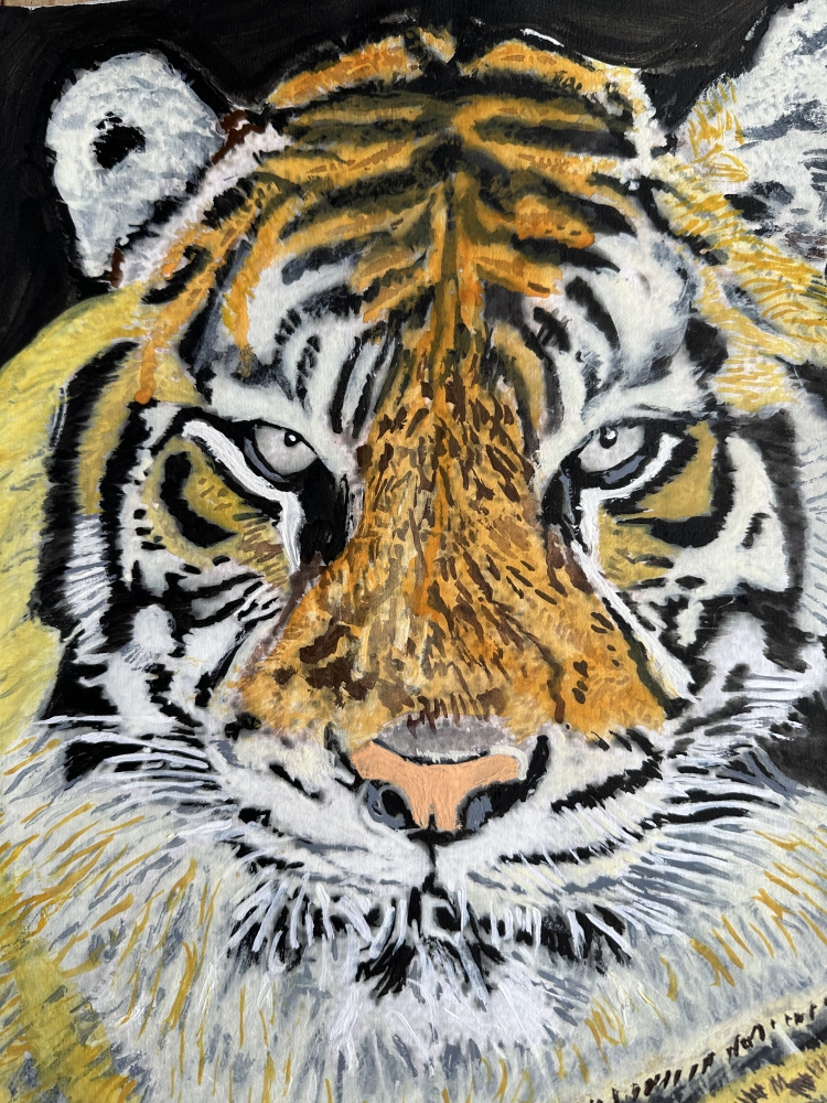Portrait of Frosty the Tiger 