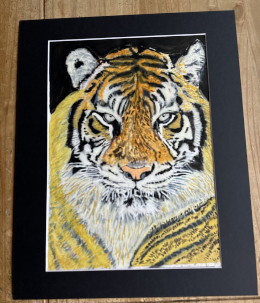 Portrait of Frosty the Tiger 