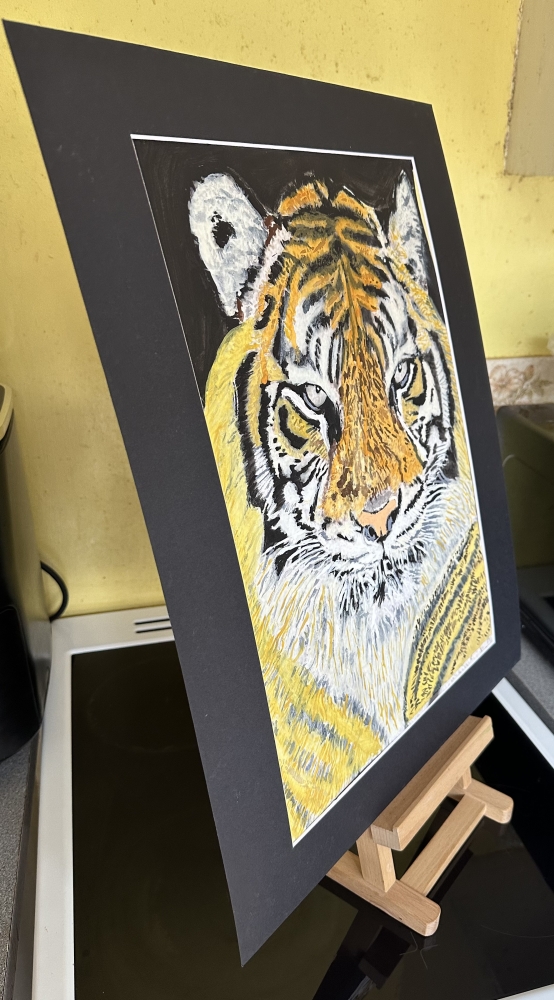 Portrait of Frosty the Tiger 