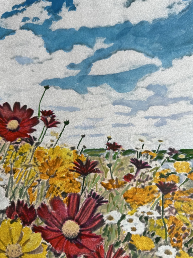 Spring flowers 