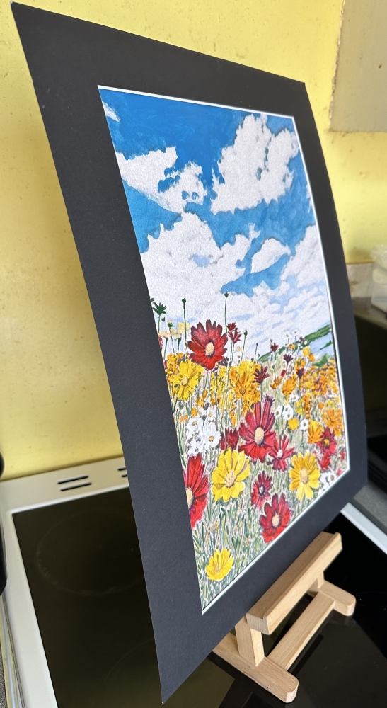 Spring flowers 
