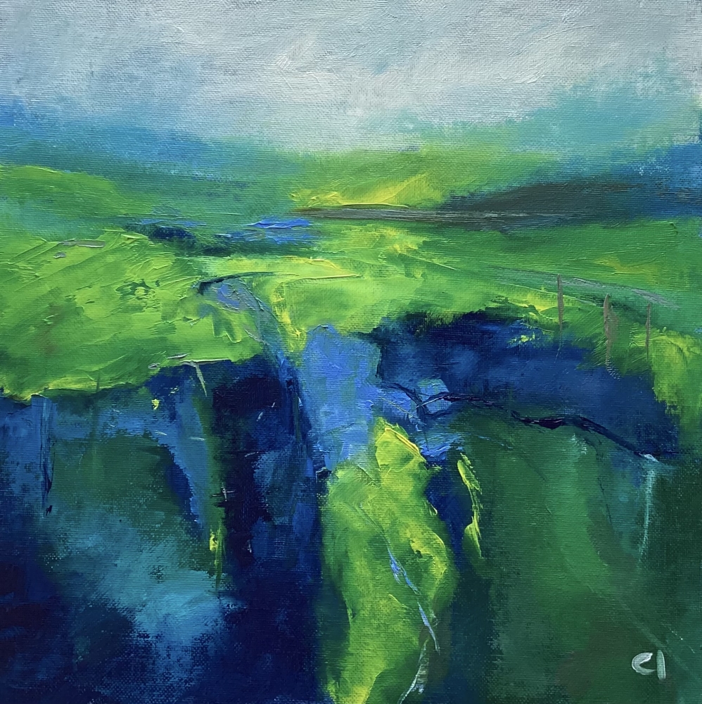 Looking Through the Landscape
