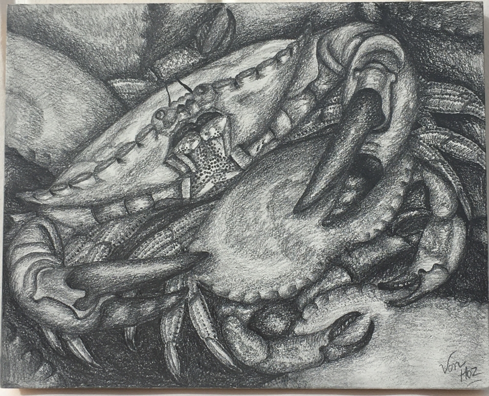 Crabs