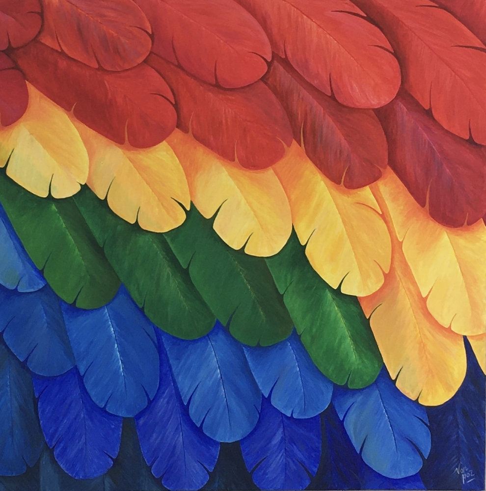 The Macaw