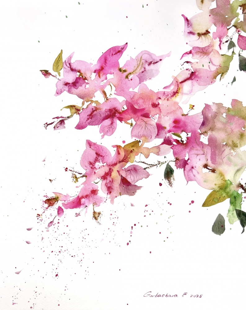 Bougainvillea Dream #2
