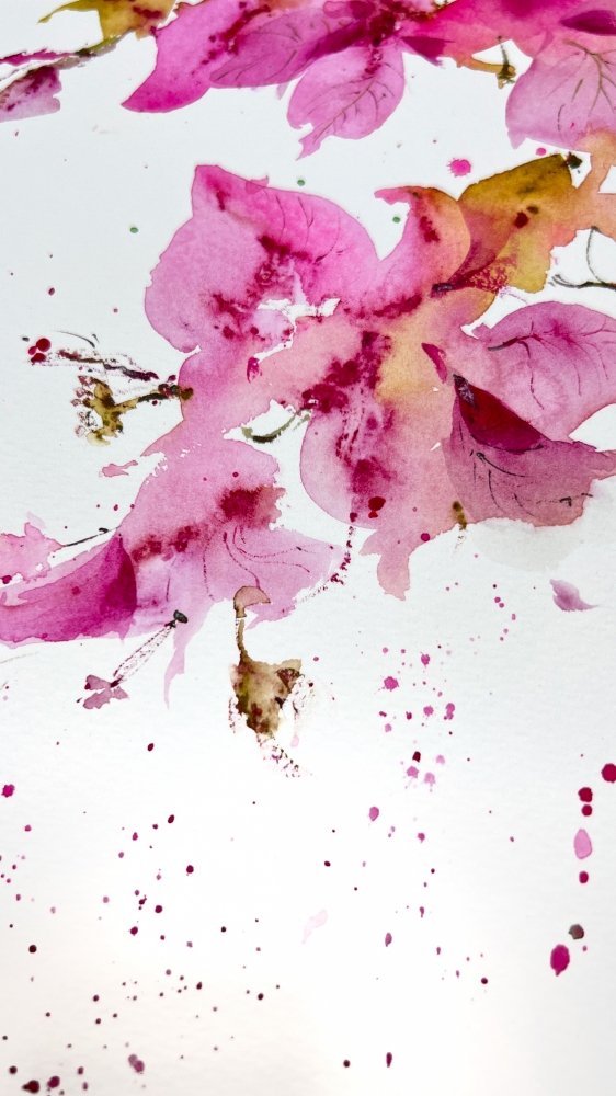 Bougainvillea Dream #2