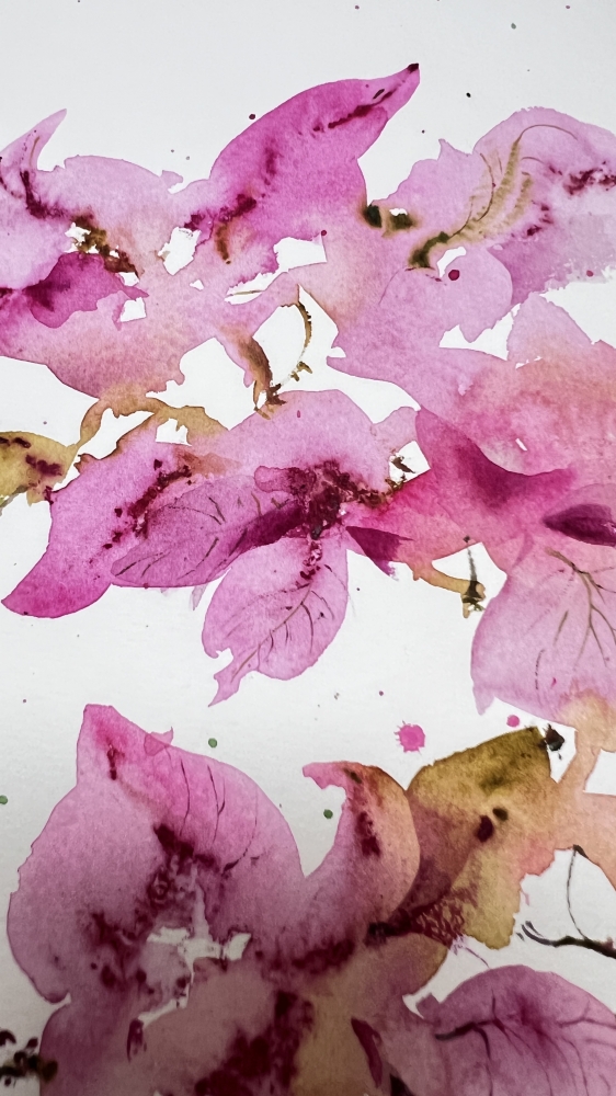 Bougainvillea Dream #2
