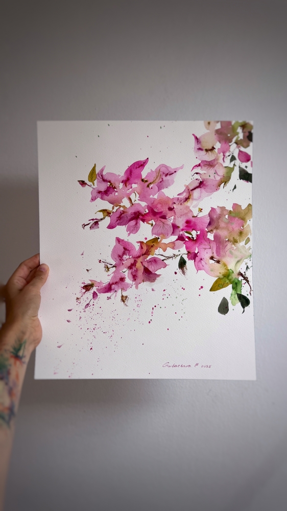 Bougainvillea Dream #2
