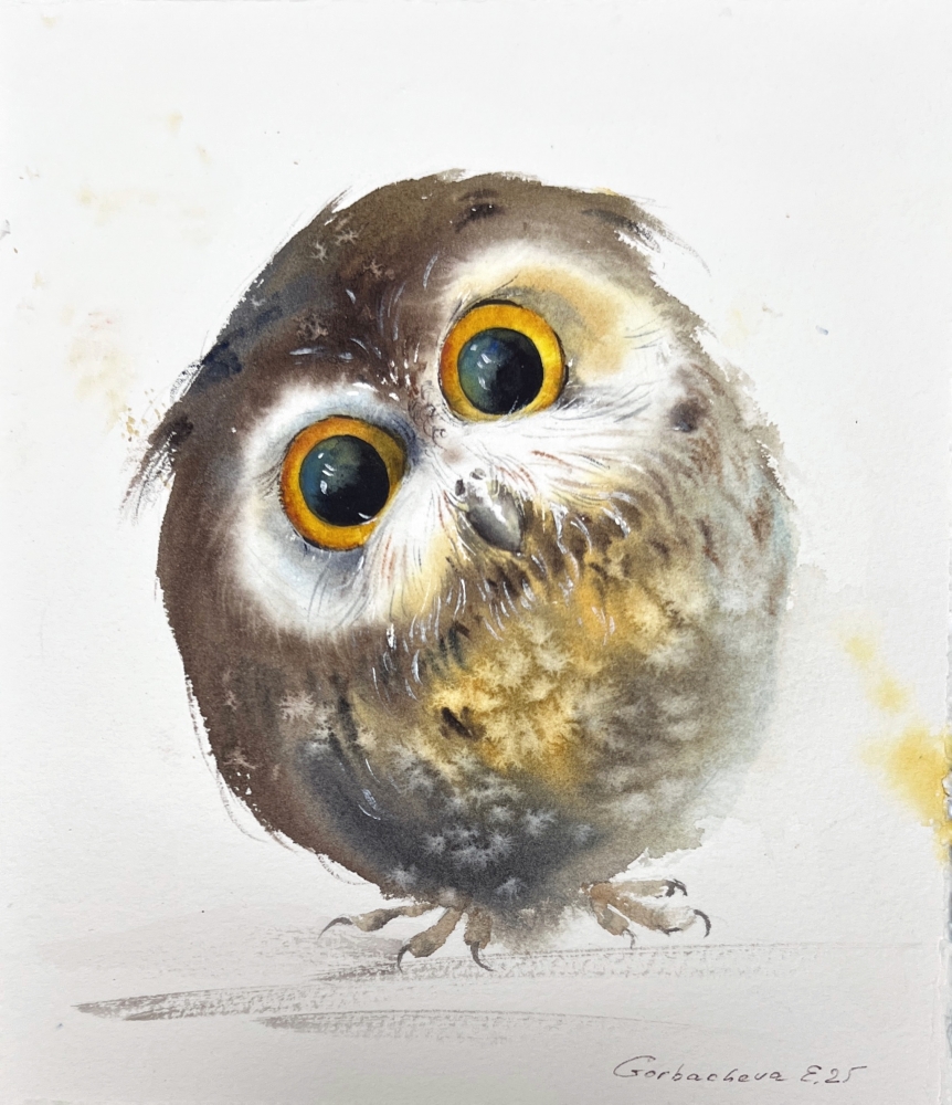 Wonderland Owlet
