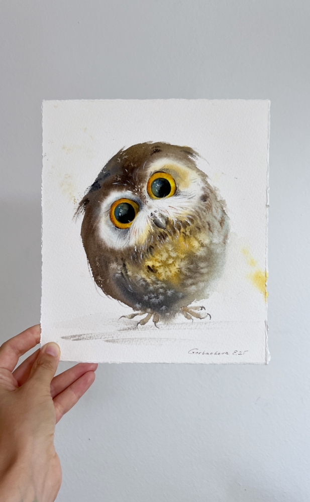 Wonderland Owlet