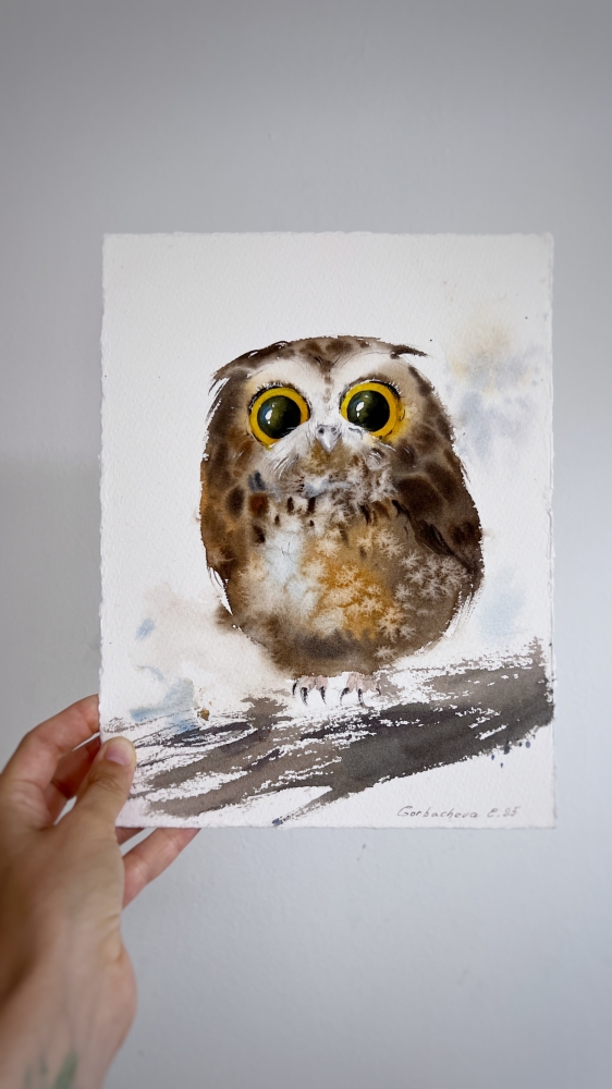 Amber-Eyed Owlet