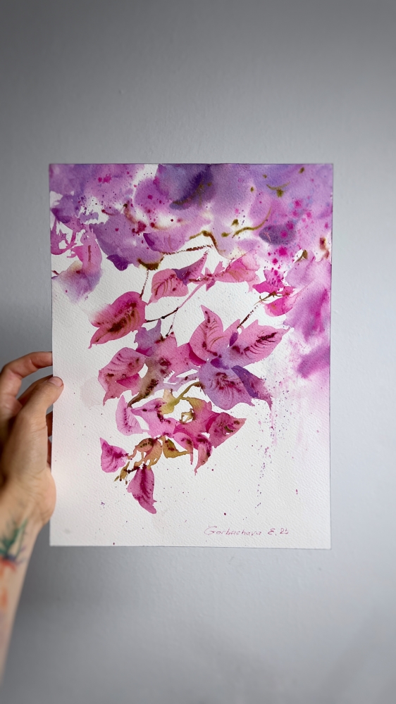 Bougainvillea Dream